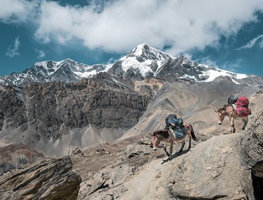 Best Treks in Nepal